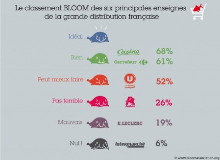 bloom-peche-responsable-gms2.jpg