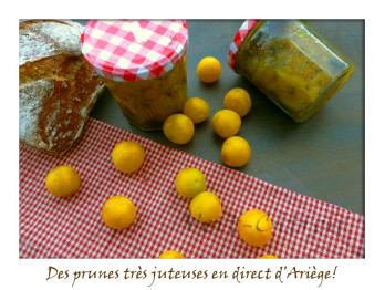 confiture-prunes-4.jpg