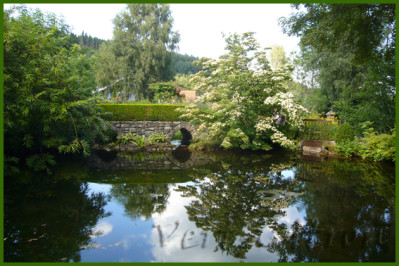 jardin de berchigranges 2013 4