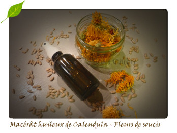 DIY-macerat-calendula-1-.jpg