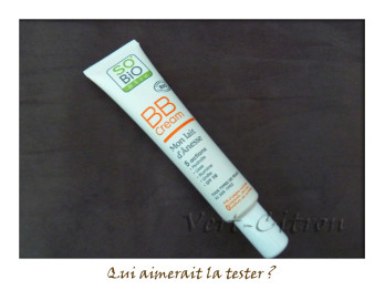 bbcreme lait d'anesse