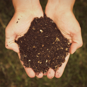 compost